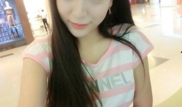 清高在线观看,揭秘古代文人的精神家园